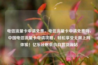 电信流量卡申请免费,电信流量卡申请免费吗,中国电信流量卡申请攻略,轻松享受无限上网体验!亿乐社区低价自营货源站