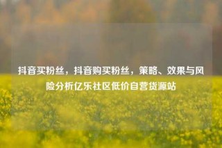 抖音买粉丝,抖音购买粉丝,策略、效果与风险分析亿乐社区低价自营货源站