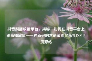 抖音刷播放量平台,揭秘,如何在抖音平台上刷高播放量—一种新兴的营销策略亿乐社区SUP货源站