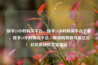 快手24小时购买平台,快手24小时购买平台下载,快手24小时购买平台,解锁购物新可能亿乐社区低价自营货源站