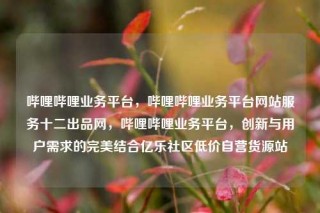 哔哩哔哩业务平台,哔哩哔哩业务平台网站服务十二出品网,哔哩哔哩业务平台,创新与用户需求的完美结合亿乐社区低价自营货源站
