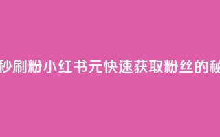 1元小红书秒刷1000粉 - 小红书1元快速获取1000粉丝的秘笈~