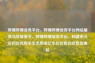 哔哩哔哩业务平台,哔哩哔哩业务平台网站服务马线报帮手,哔哩哔哩业务平台,构建多元化的在线娱乐生态系统亿乐社区低价自营货源站