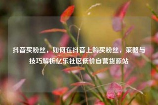 抖音买粉丝,如何在抖音上购买粉丝,策略与技巧解析亿乐社区低价自营货源站