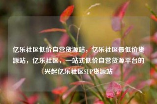 亿乐社区低价自营货源站,亿乐社区最低价货源站,亿乐社区,一站式低价自营货源平台的兴起亿乐社区SUP货源站