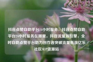 抖音点赞自助平台24小时服务,抖音点赞自助平台24小时服务在哪里,抖音流量新引擎,全时自助点赞平台助力创作者突破流量瓶颈亿乐社区SUP货源站