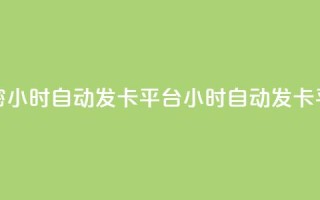 卡密24小时自动发卡平台(24小时自动发卡平台-卡密自动发送服务)