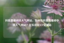 抖音直播间挂人气网站，如何在抖音直播间中挂人气网站？亿乐社区SUP货源站