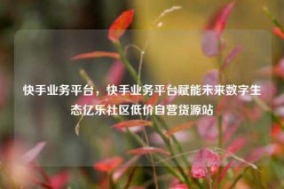 快手业务平台，快手业务平台赋能未来数字生态亿乐社区低价自营货源站
