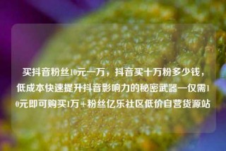 买抖音粉丝10元一万,抖音买十万粉多少钱,低成本快速提升抖音影响力的秘密武器—仅需10元即可购买1万+粉丝亿乐社区低价自营货源站