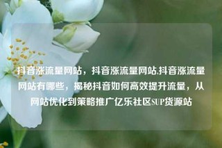 抖音涨流量网站,抖音涨流量网站,抖音涨流量网站有哪些,揭秘抖音如何高效提升流量,从网站优化到策略推广亿乐社区SUP货源站