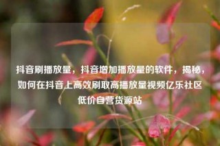 抖音刷播放量,抖音增加播放量的软件,揭秘,如何在抖音上高效刷取高播放量视频亿乐社区低价自营货源站