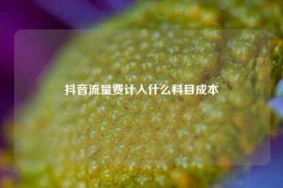 抖音流量费计入什么科目成本