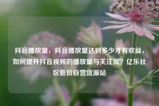 抖音播放量,抖音播放量达到多少才有收益,如何提升抖音视频的播放量与关注度?亿乐社区低价自营货源站