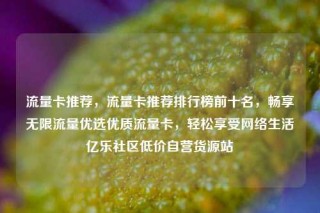 流量卡推荐,流量卡推荐排行榜前十名,畅享无限流量优选优质流量卡,轻松享受网络生活亿乐社区低价自营货源站