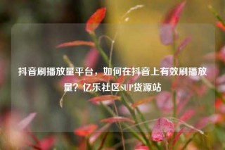 抖音刷播放量平台，如何在抖音上有效刷播放量？亿乐社区SUP货源站