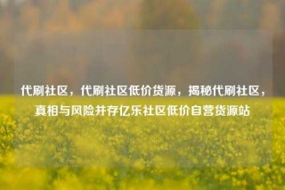 代刷社区,代刷社区低价货源,揭秘代刷社区,真相与风险并存亿乐社区低价自营货源站