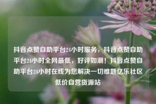 抖音点赞自助平台24小时服务，抖音点赞自助平台24小时全网最低，好评如潮！抖音点赞自助平台24小时在线为您解决一切难题亿乐社区低价自营货源站