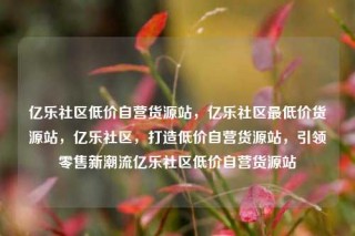 亿乐社区低价自营货源站,亿乐社区最低价货源站,亿乐社区,打造低价自营货源站,引领零售新潮流亿乐社区低价自营货源站