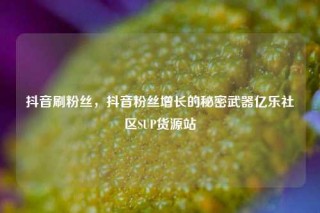 抖音刷粉丝，抖音粉丝增长的秘密武器亿乐社区SUP货源站