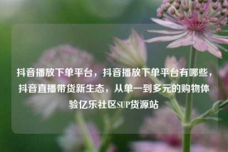 抖音播放下单平台,抖音播放下单平台有哪些,抖音直播带货新生态,从单一到多元的购物体验亿乐社区SUP货源站