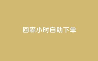 回森24小时自助下单,快手免费领播放量1万 - dy自定义评论业务 - 1元充快币