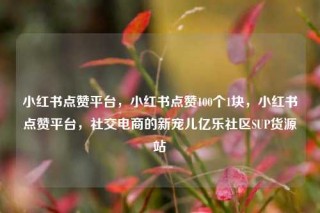 小红书点赞平台,小红书点赞100个1块,小红书点赞平台,社交电商的新宠儿亿乐社区SUP货源站