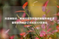 抖音刷粉丝，揭秘抖音如何高效刷取并维护大量粉丝的秘密亿乐社区SUP货源站