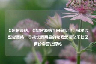 卡盟货源站,卡盟货源站全网最低价,揭秘卡盟货源站,寻找优质商品的秘密武器亿乐社区低价自营货源站