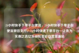 24小时快手下单平台便宜,24小时快手下单平台便宜微信支付,24小时快速下单平台—让贵为实惠之选亿乐社区低价自营货源站