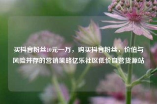 买抖音粉丝10元一万,购买抖音粉丝,价值与风险并存的营销策略亿乐社区低价自营货源站
