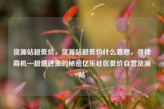 货源站超低价,货源站超低价什么意思,寻找商机—超值进货的秘密亿乐社区低价自营货源站