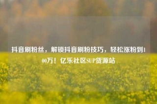 抖音刷粉丝,解锁抖音刷粉技巧,轻松涨粉到100万!亿乐社区SUP货源站