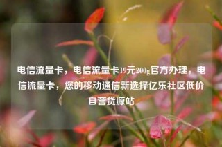 电信流量卡,电信流量卡19元200g官方办理,电信流量卡,您的移动通信新选择亿乐社区低价自营货源站