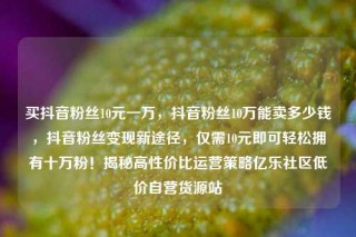 买抖音粉丝10元一万,抖音粉丝10万能卖多少钱,抖音粉丝变现新途径,仅需10元即可轻松拥有十万粉!揭秘高性价比运营策略亿乐社区低价自营货源站