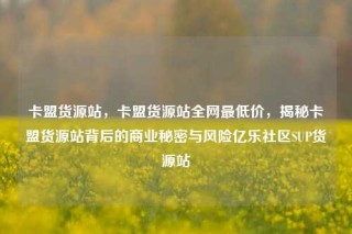 卡盟货源站,卡盟货源站全网最低价,揭秘卡盟货源站背后的商业秘密与风险亿乐社区SUP货源站