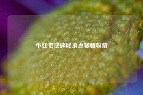 小红书快速取消点赞和收藏