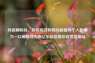 抖音刷粉丝，如何有效利用抖音提升个人影响力—以刷粉丝为例亿乐社区低价自营货源站