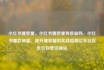 小红书播放量,小红书播放量有收益吗,小红书爆款秘籍,提升播放量的实战指南亿乐社区低价自营货源站