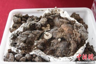 【何以中国 行走河南】走进河南永城王庄遗址  感受5000年前大汶口文化聚落的礼制内涵