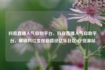 抖音直播人气自助平台，抖音直播人气自助平台，解锁网红变现新路径亿乐社区SUP货源站
