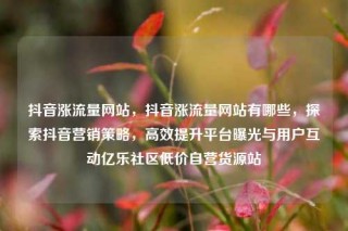 抖音涨流量网站，抖音涨流量网站有哪些，探索抖音营销策略，高效提升平台曝光与用户互动亿乐社区低价自营货源站