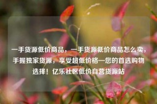 一手货源低价商品,一手货源低价商品怎么卖,手握独家货源,享受超低价格—您的首选购物选择!亿乐社区低价自营货源站