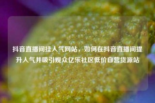 抖音直播间挂人气网站,如何在抖音直播间提升人气并吸引观众亿乐社区低价自营货源站