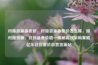 对接货源最低价,对接货源最低价怎么算,接对接货源,找到最惠价格—揭秘高效采购策略亿乐社区低价自营货源站