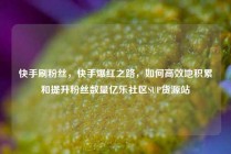 快手刷粉丝,快手爆红之路,如何高效地积累和提升粉丝数量亿乐社区SUP货源站