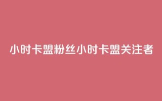 24小时卡盟粉丝 → 24小时卡盟关注者