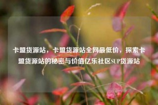 卡盟货源站,卡盟货源站全网最低价,探索卡盟货源站的秘密与价值亿乐社区SUP货源站