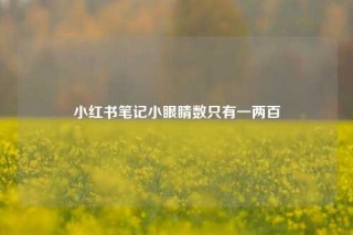 小红书笔记小眼睛数只有一两百