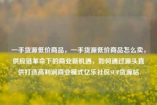 一手货源低价商品,一手货源低价商品怎么卖,供应链革命下的商业新机遇,如何通过源头直供打造高利润商业模式亿乐社区SUP货源站